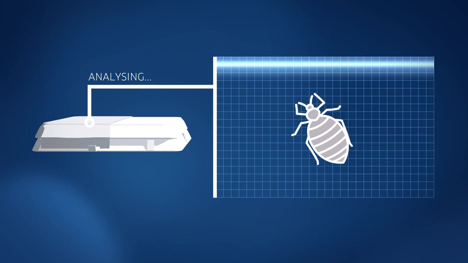 how-to-identify-and-treat-bed-bugs